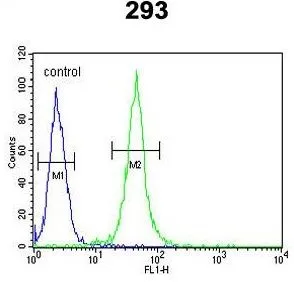 FACS analysis of 293 cells using GTX80948 FOXC1 antibody, C-term. Green : primary antibody Blue : negative control