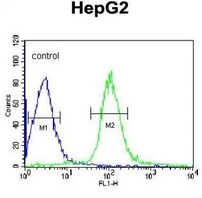 FACS analysis of HepG2 cells using GTX80967 MGST2 antibody, C-term. Green : primary antibody Blue : negative control