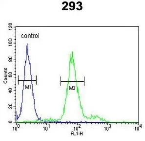 FACS analysis of 293 cells using GTX80982 KLF16 antibody, Internal. Green : primary antibody Blue : negative control
