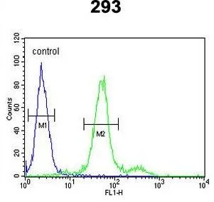 FACS analysis of 293 cells using GTX80984 COL18A1 antibody, N-term. Green : primary antibody Blue : negative control