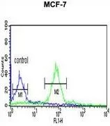 FACS analysis of MCF-7 cells using GTX81004 Histone H2A type 1H antibody, N-term. Green : primary antibody Blue : negative control