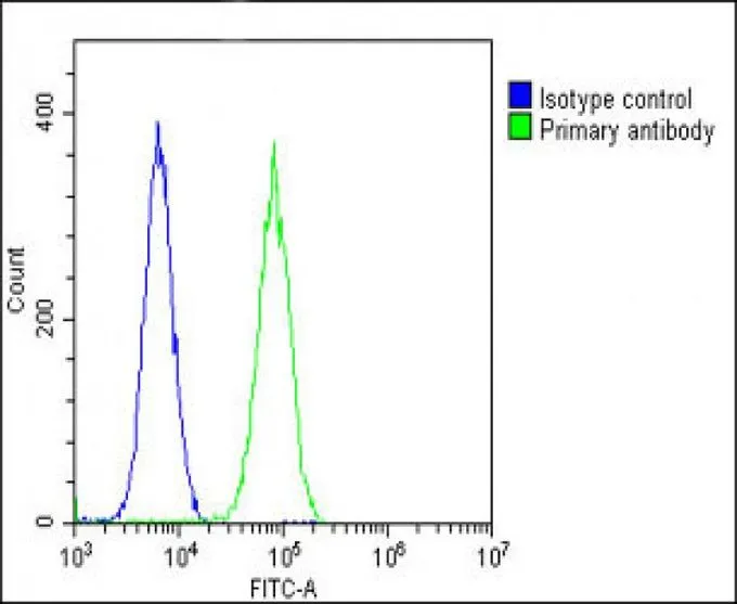 FACS analysis of U-2 OS cells using GTX81012 GLS antibody, C-term. Green : GLS Blue : Isotype control Fixation : 2% paraformaldehyde (PFA) (10 min) Permeabilization : 90% methanol (10 min) Dilution : 1:25
