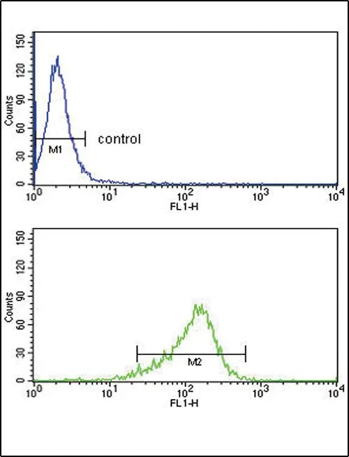 FACS analysis of MDA-MB231 cells using GTX81020 IL12A / IL12 p35 antibody, C-term. Top histogram : negative control Bottom histogram : MDA-MB231 cells