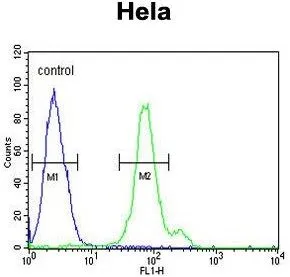 FACS analysis of HeLa cells using GTX81032 CTPS2 antibody, N-term. Green : primary antibody Blue : negative control