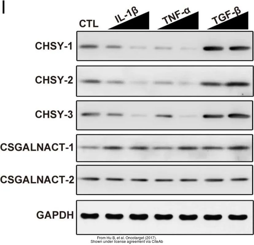 The data was published in the journal Oncotarget in 2017. PMID: 28514734