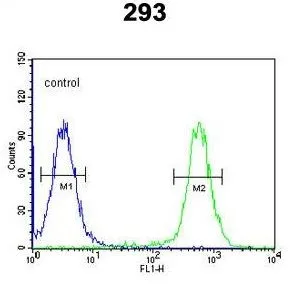 FACS analysis of 293 cells using GTX81034 CSGALNACT2 antibody, Internal. Green : primary antibody Blue : negative control