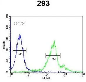 FACS analysis of 293 cells using GTX81035 CDC42EP3 antibody, N-term. Green: primary antibody Blue : negative control