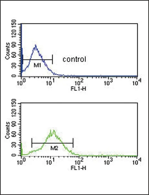 FACS analysis of HepG2 cells using GTX81059 Bradykinin B1 receptor antibody,Internal. Top histogram : negative control Bottom histogram : HepG2 cells