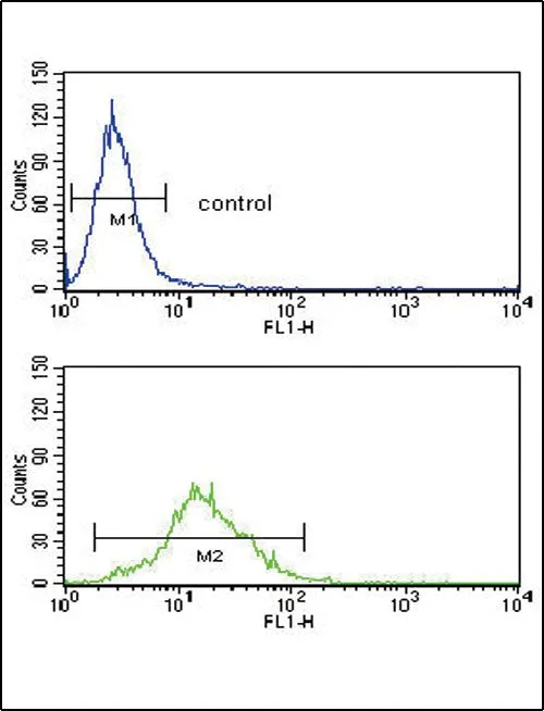 FACS analysis of Ramos cells using GTX81061 SREBP1 antibody, Internal. Top histogram : negative control Bottom histogram : Ramos cells