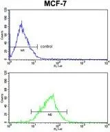 FACS analysis of MCF-7 cells using GTX81076 MDFIC antibody, N-term. Top histogram : negative control Bottom histogram : MCF-7 cells