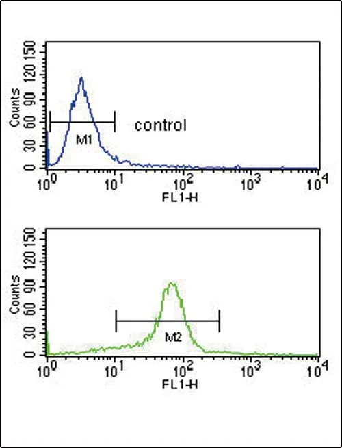FACS analysis of K562 cells using GTX81084 CACNA2D1 antibody, N-term. Top histogram : negative control Bottom histogram : K562 cells