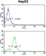 FACS analysis of HepG2 cells using GTX81120 CYP2E1 antibody, C-term. Top histogram : negative control Bottom histogram : HepG2 cells