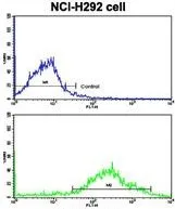 FACS analysis of NCI-H292 cells using GTX81125 MLX antibody, Internal. Top histogram : negative control Bottom histogram : NCI-H292 cells