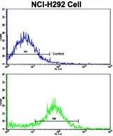 FACS analysis of NCI-H292 cells using GTX81147 VTI1A antibody, C-term. Top histogram : negative control Bottom histogram : NCI-H292 cells