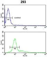 FACS analysis of 293 cells using GTX81164 Rb antibody, C-term. Top histogram : negative control Bottom histogram : 293 cells