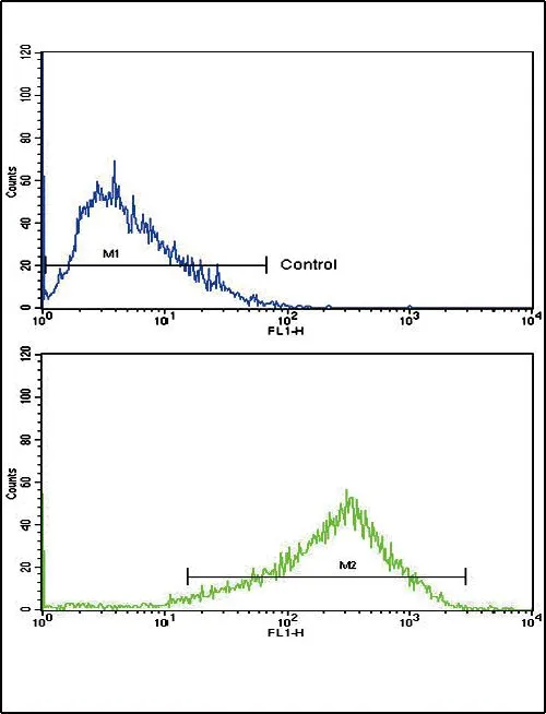 FACS analysis of HepG2 cells using GTX81179 AP2A2 antibody, Internal. Top histogram : negative control Bottom histogram : HepG2 cells