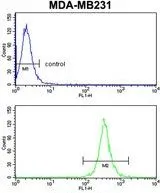 FACS analysis of MDA-MB231 cells using GTX81203 ARHGAP18 antibody, Internal. Top histogram : negative control Bottom histogram : MDA-MB231 cells