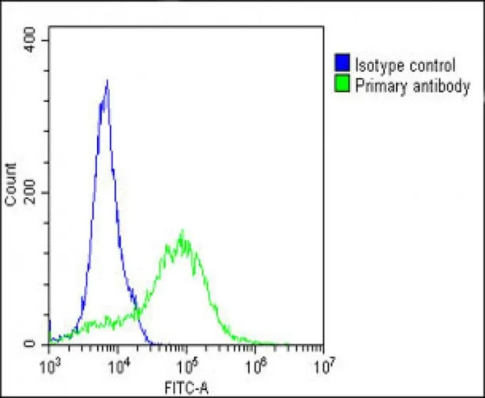 FACS analysis of A549 cells using GTX81334 ROR1 antibody. Green : ROR1 Blue : Isotype control Fixation : 2% paraformaldehyde (PFA) (10 min) Dilution : 1:25