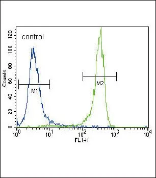 FACS analysis of NCI-H460 cells using GTX81342 FGFR2 antibody, N-term. Green : primary antibody Blue : negative control