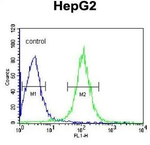 FACS analysis of HepG2 cells using GTX81494 TMPRSS2 antibody, Internal. Green : primary antibody Blue : negative control