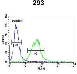 FACS analysis of 293 cells using GTX81506 BCOR antibody, Internal. Green : primary antibody Blue : negative control
