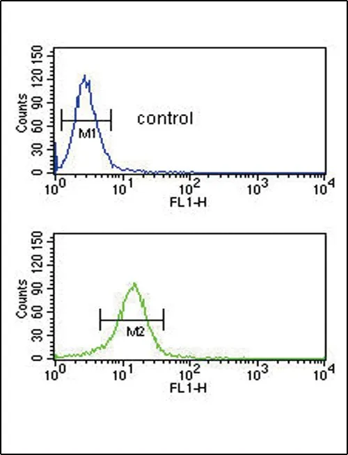 FACS analysis of NCI-H460 cells using GTX81507 COL5A2 antibody, N-term. Top histogram : negative control Bottom histogram : NCI-H460 cells