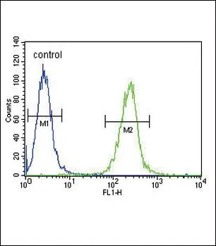 FACS analysis of A2058 cells using GTX81680 SPINK5 antibody, N-term. Green : primary antibody Blue : negative control