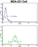 FACS analysis of MDA-231 cells using GTX81689 DLGAP1 antibody, N-term. Top histogram : negative control Bottom histogram : MDA-231 cells
