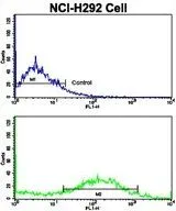 FACS analysis of NCI-H292 cells using GTX81714 Calponin-1 antibody, N-term. Top histogram : negative control Bottom histogram : NCI-H292 cells