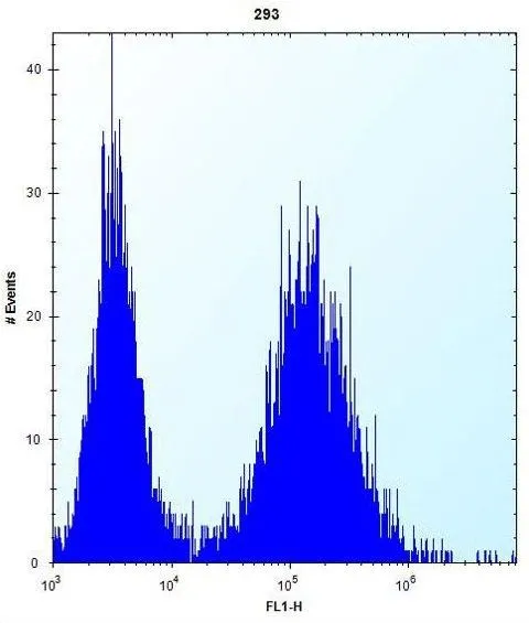 FACS analysis of 293 cells using GTX81906 Parp12 antibody, N-term. Right histogram : 293 cells Left histogram : negative control