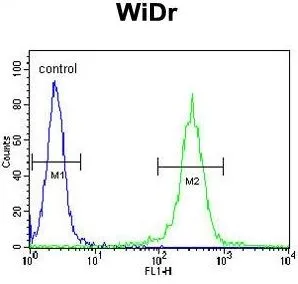 FACS analysis of WiDr cells using GTX81939 ATP5B antibody, Internal. Green : primary antibody Blue : negative control