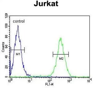 FACS analysis of Jurkat cells using GTX81941 hnRNP L antibody, Internal. Green : primary antibody Blue : negative control