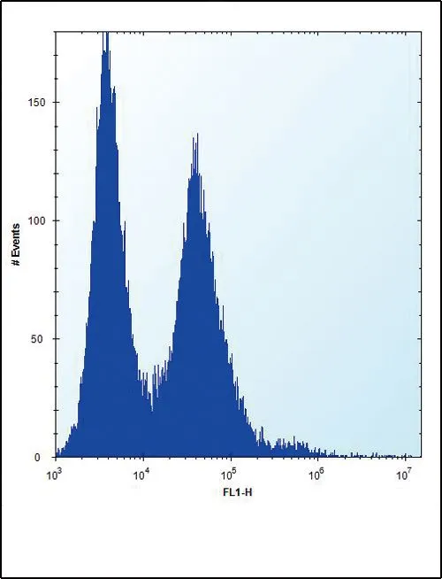 FACS analysis of HeLa cells using GTX81996 Nucleophosmin antibody, N-term. Right histogram : HeLa cells Left histogram : negative control