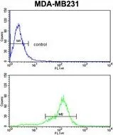 FACS analysis of MDA-MB231 cells using GTX82541 Bcl2A1 antibody, Internal. Top histogram : negative control Bottom histogram : MDA-MB231 cells