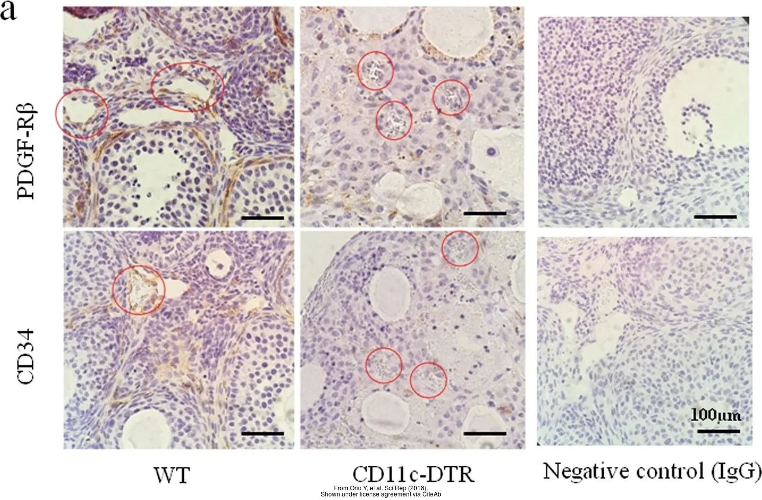 The data was published in the journal Sci Rep in 2018.PMID: 29802255