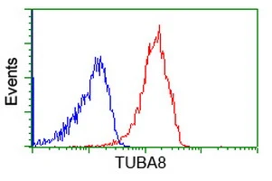 FACS analysis of Jurkat cells using GTX83461 alpha Tubulin 8 antibody [2C2]. Red : Primary antibody Blue : Negative control antibody