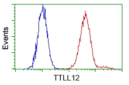 FACS analysis of HeLa cells using GTX83469 TTLL12 antibody [7F11]. Red : Primary antibody Blue : Negative control antibody