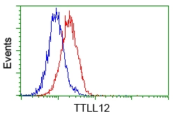 FACS analysis of Jurkat cells using GTX83471 TTLL12 antibody [12B7]. Red : Primary antibody Blue : Negative control antibody
