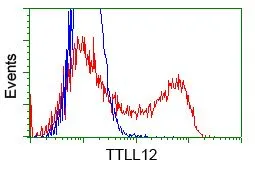 FACS analysis of HEK293T cells transfected with either TTLL12 plasmid(Red) or empty vector control plasmid(Blue) using GTX83471 TTLL12 antibody [12B7]. Dilution : 1:1000