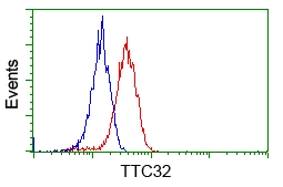 FACS analysis of HeLa cells using GTX83482 TTC32 antibody [5C12]. Red : Primary antibody Blue : Negative control antibody