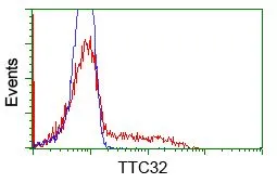 FACS analysis of HEK293T cells transfected with either TTC32 plasmid(Red) or empty vector control plasmid(Blue) using GTX83482 TTC32 antibody [5C12].