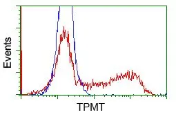 FACS analysis of HEK293T cells transfected with either TPMT plasmid(Red) or empty vector control plasmid(Blue) using GTX83497 TPMT antibody [4C1].
