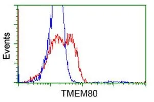 FACS analysis of HEK293T cells transfected with either TMEM80 plasmid(Red) or empty vector control plasmid(Blue) using GTX83505 TMEM80 antibody [3B6].