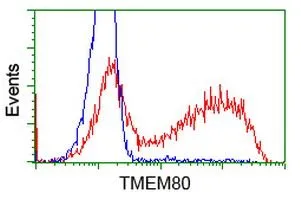 FACS analysis of HEK293T cells transfected with either TMEM80 plasmid(Red) or empty vector control plasmid(Blue) using GTX83506 TMEM80 antibody [2B7].