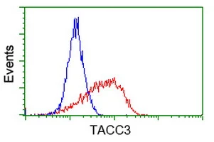 FACS analysis of Jurkat cells using GTX83529 TACC3 antibody [1E11]. Red : Primary antibody Blue : Negative control antibody