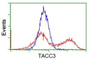 FACS analysis of HEK293T cells transfected with either TACC3 plasmid(Red) or empty vector control plasmid(Blue) using GTX83529 TACC3 antibody [1E11].