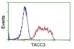 FACS analysis of Jurkat cells using GTX83533 TACC3 antibody [7B11]. Red : Primary antibody Blue : Negative control antibody
