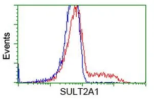 FACS analysis of HEK293T cells transfected with either SULT2A1 plasmid(Red) or empty vector control plasmid(Blue) using GTX83536 SULT2A1 antibody [3G4].