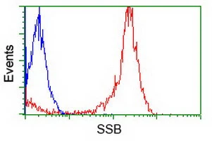 FACS analysis of Jurkat cells using GTX83558 SSB antibody [1E11]. Red : Primary antibody Blue : Negative control antibody