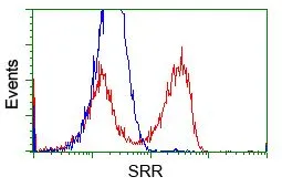 FACS analysis of HEK293T cells transfected with either Serine racemase plasmid(Red) or empty vector control plasmid(Blue) using GTX83568 Serine racemase antibody [7E8].